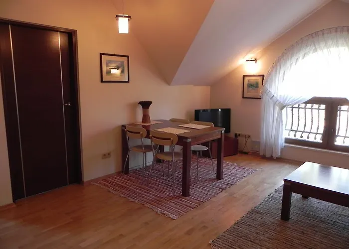 Apartament Brandy Radowid
